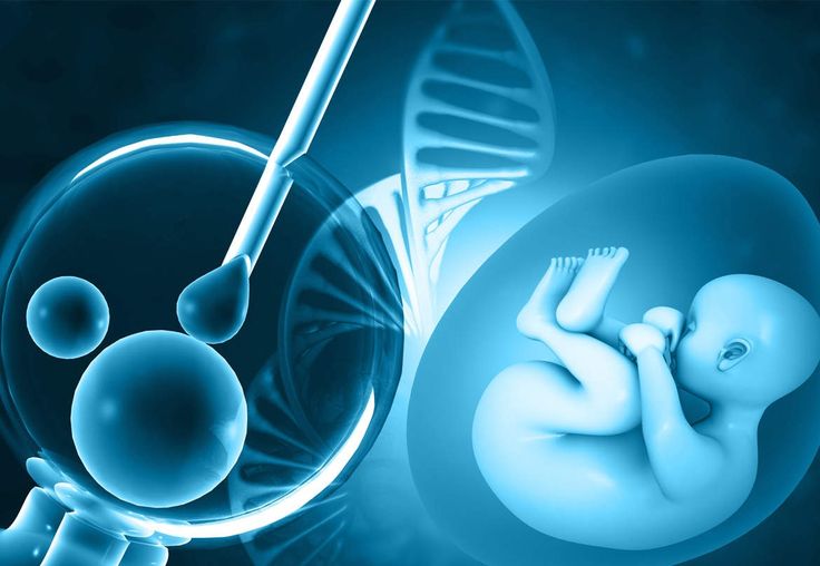 Best IVF Treatment in India  Process Cost Expert Care   India IVF