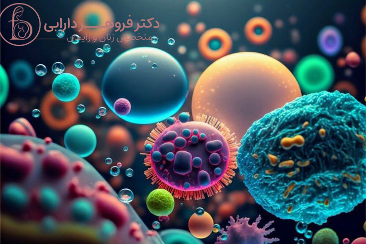 تاثیر عفونت واژن بر روی جنین