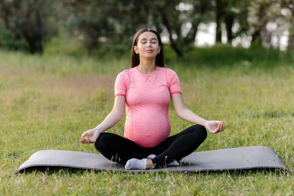Pregnancy Week by Week Guide  Your Journey from Bump to Baby